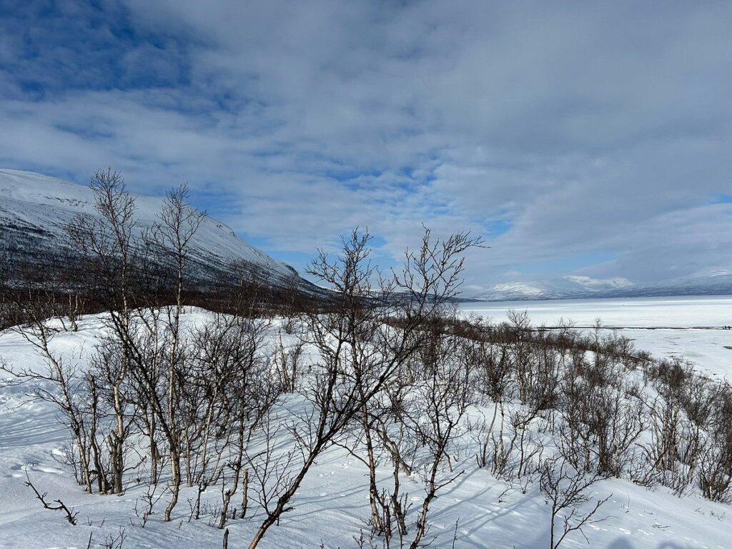 Abisko National Park